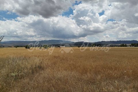 Helårsgrund i Yecla, Murcia, Yecla - € 32.900 | Ref: SF0321 - foto 7
